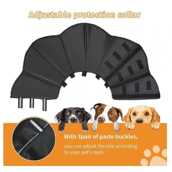 New Dog Cone Collar - Picture 2 of 9